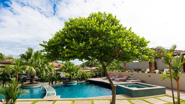 A swimming pool with a tree in the center, surrounded by palm trees and lounge chairs. - El Cubil 8 (Sardinal)