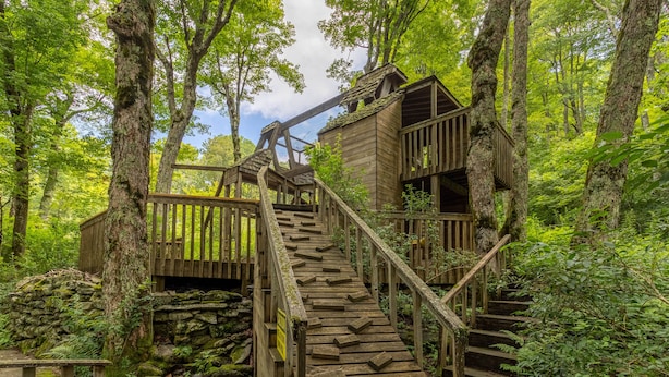 A wooden staircase leading to a cabin in a forest. - Hearthstone- AppSki Mtn home with it all: hot tub, game room, fire pit, pets! (Blowing Rock)
