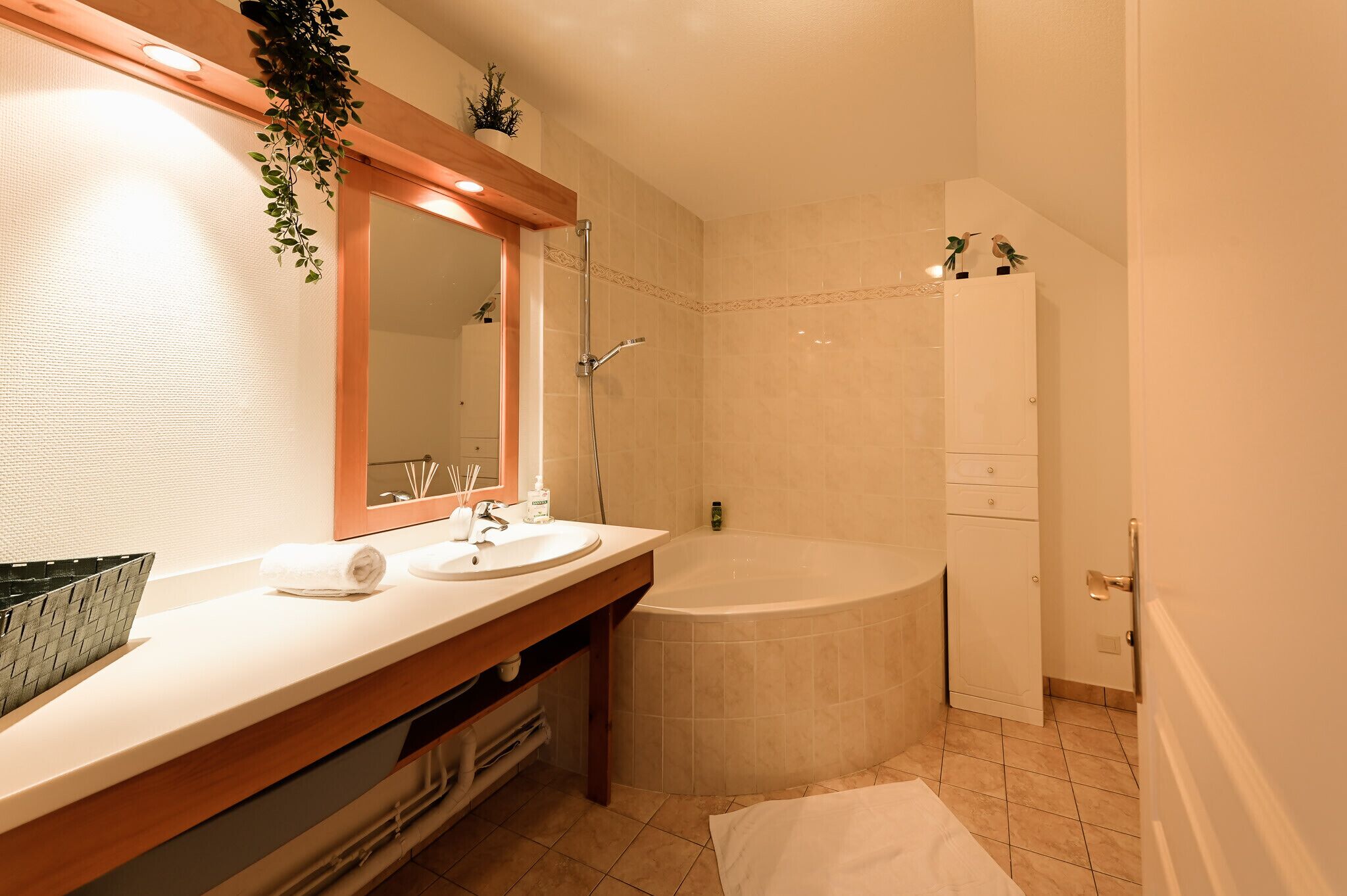 Bañera, secador de pelo, toallas