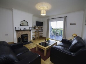 TV connectée, cheminée, lecteur de DVD, livres