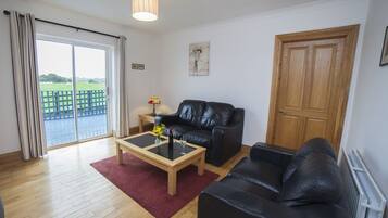 Smart TV, chimenea, reproductor de DVD y libros