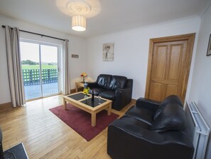 TV connectée, cheminée, lecteur de DVD, livres