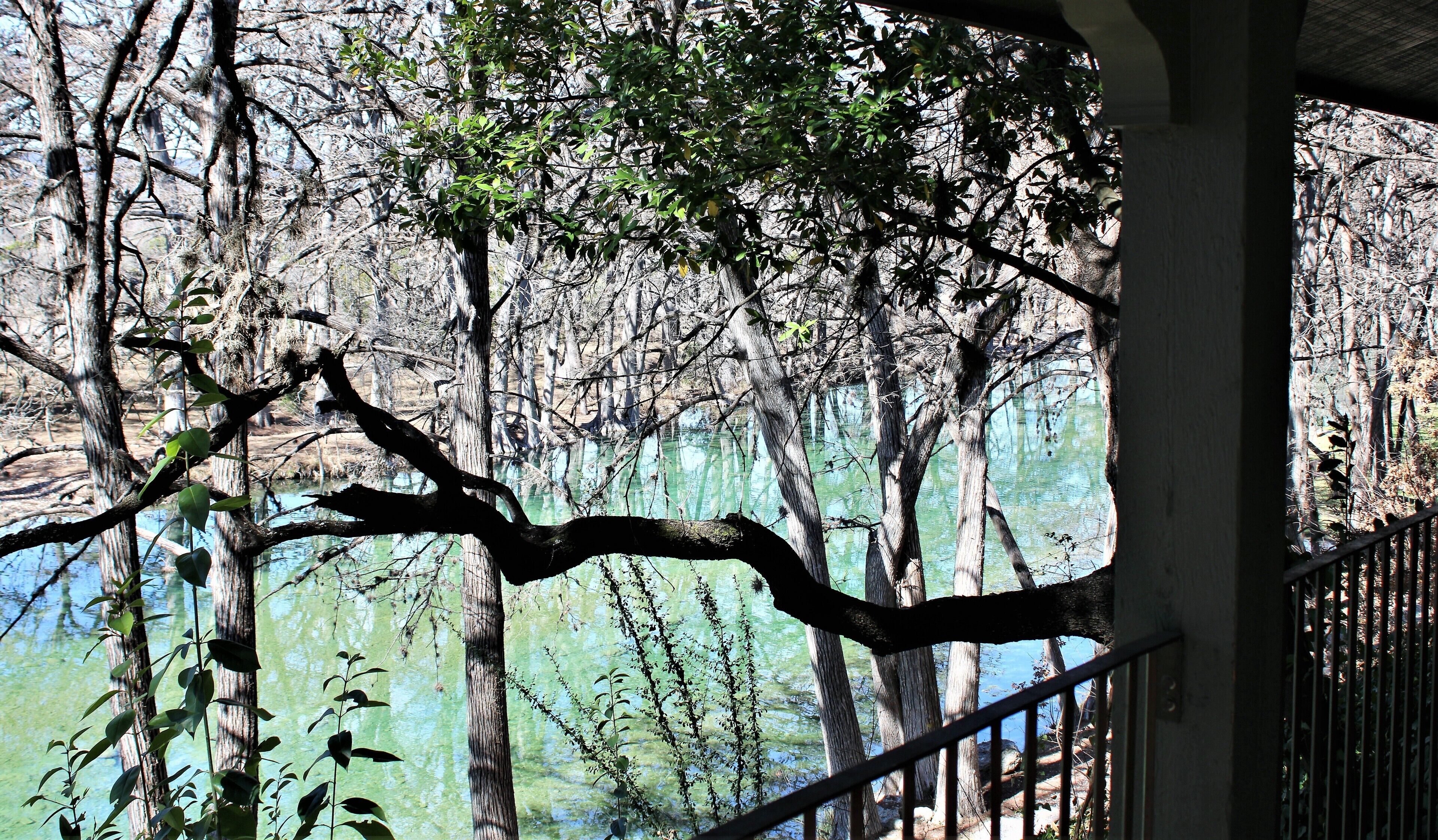 Large and Beautiful Home On the Frio River