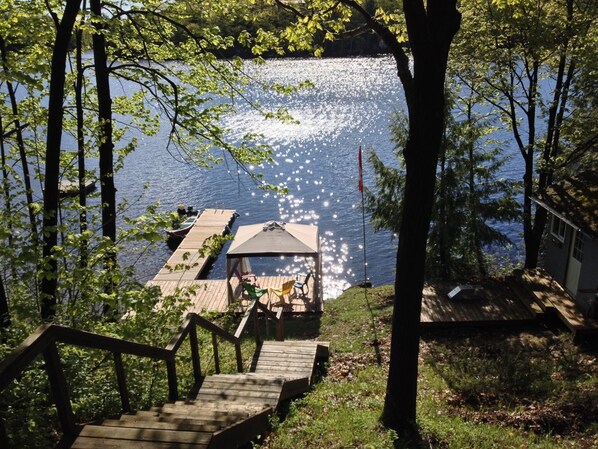 Relax by the serene lake with a tranquil dock and seating area surrounded by lush greenery.