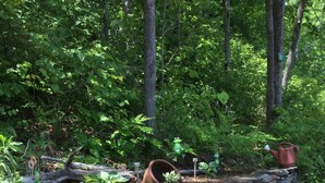 A stone wall with a rustic garden area, including a green frog-shaped planter and a red watering can. - Water access Island Cottage in sheltered cove (South Frontenac Region)