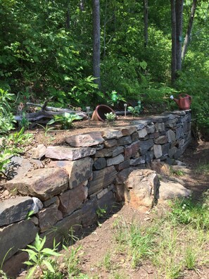Meandering stone pathway through a lush forested area, surrounded by plants and shrubs.
