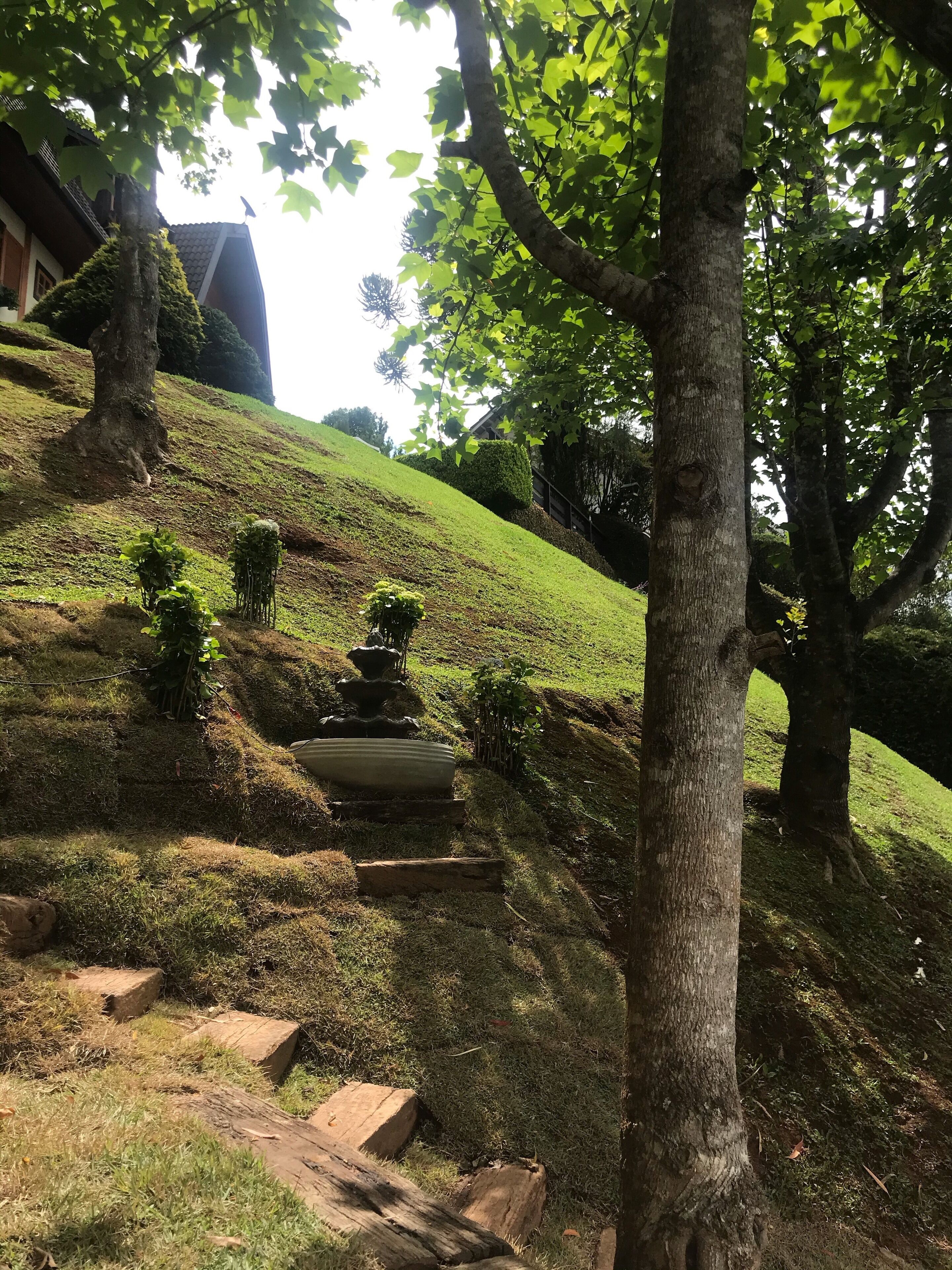 Área da propriedade