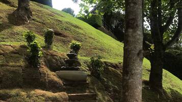 Área da propriedade