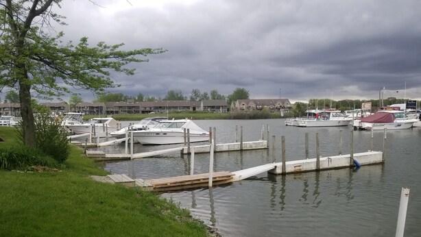 A marina with docked boats, a grassy area, and a cloudy sky. - Great place for fisherman and bird watchers (Oak Harbor)