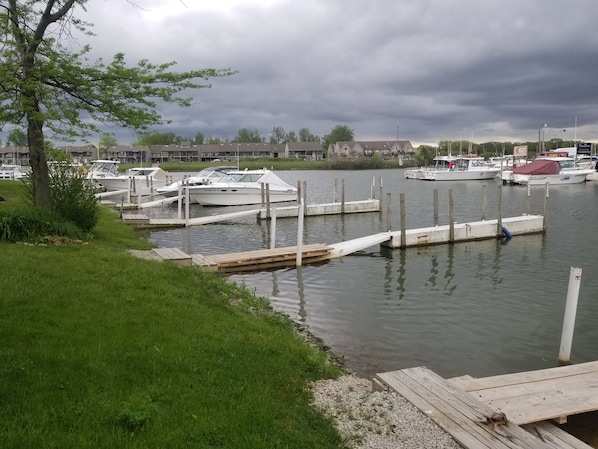 Boats docked in a serene marina surrounded by lush greenery and residential buildings.