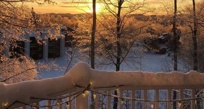 Kettle Brook 2 BR & 2 BA Ski in / out Wohnung am Okemo Mountain