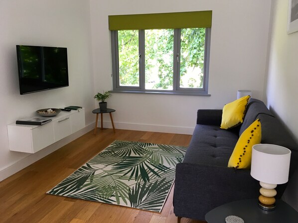 Smart TV y libros 