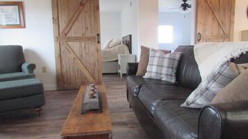 TV connectée, cheminée, lecteur de DVD, livres