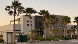 Un hôtel moderne doté d’un toit plat, de palmiers et d’une allée gravillonnée.
