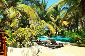 Outdoor pool - Tulix Cay Luxury Ocean Front Villa (Chicxulub Pueblo)