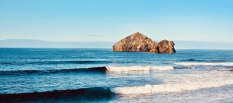 Sea Roots "Garden zone 2" - Ocean and Mountain