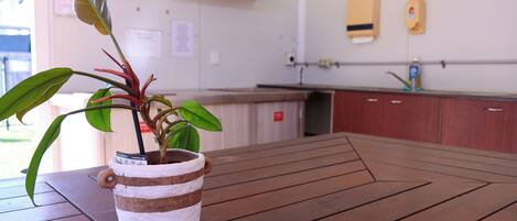 Una planta en maceta sobre una mesa de madera en una habitación con una zona de cocina al fondo.