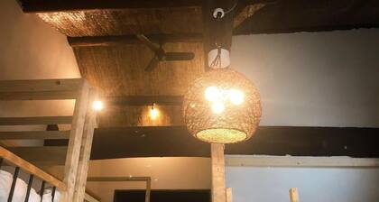 Mad Cat Hostel Osaka & Bar