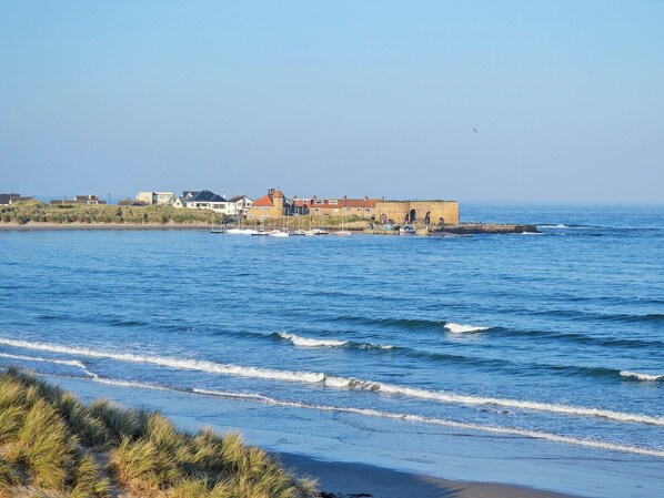 Playa