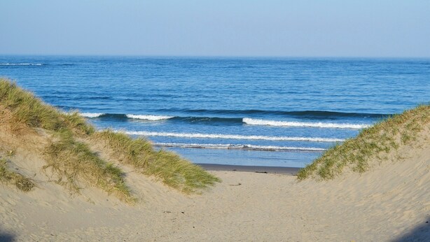 A beach with sand dunes and the ocean. - 2 bedroom accommodation in Beadnell, near Alnwick (Beadnell, near Alnwick)