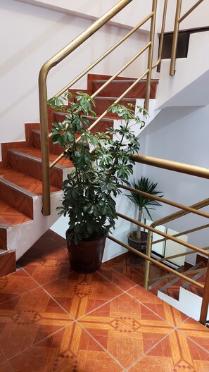 Interior - Rabaal (Cusco)