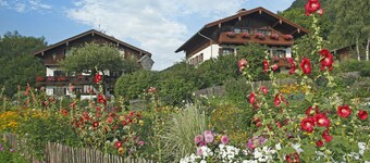 Vacation apartment I in the adjoining house, 65 sqm with separate bedroom, north-east facing balcony