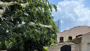 Un vialetto conduce a un edificio in pietra con un'auto garage nera, circondato da un muro in pietra e vegetazione.