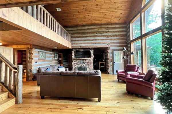 TV connectée, cheminée, lecteur de DVD, livres