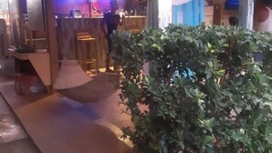 Interior de restaurante com área de bar, luminárias pendentes e um vaso de planta.