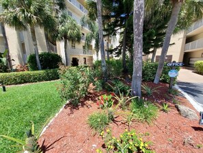 Enjoy a serene outdoor space with a lush lawn, shrubs, and palm trees providing shade.