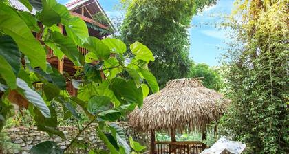 I am a local guide,so i can provide the information tour in my province for you