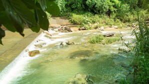 A river flowing through a forested area with rocks and greenery. - I am a local guide,so i can provide the  information tour in my province for you (Ha Giang city)