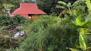 A red-roofed house surrounded by lush greenery and mountains in the background. - I am a local guide,so i can provide the  information tour in my province for you (Ha Giang city)
