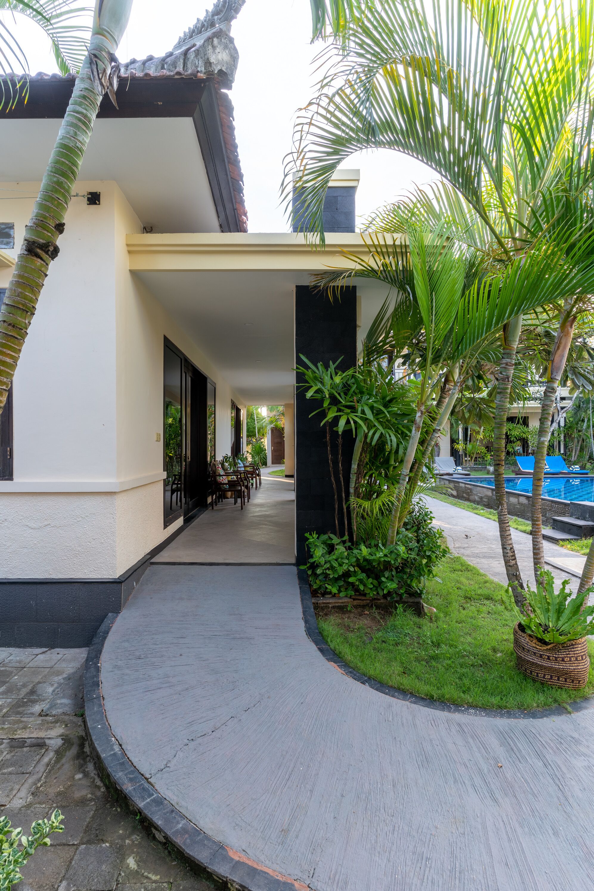 A covered outdoor area with a curved pathway, palm trees, and a pool.