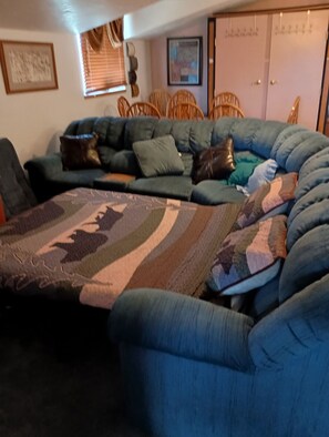 TV, fireplace, DVD player, books