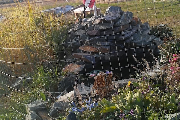 Terrein van de accommodatie