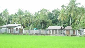 A row of single-story buildings with a uniform architectural style, surrounded by lush greenery and palm trees. - JAS Residence Pool Villa (Divulapitiya)