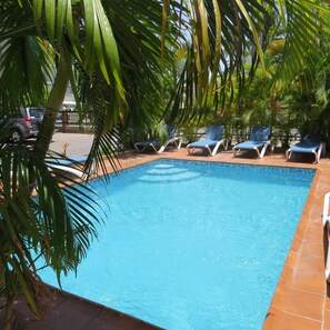 Una piscina con bordes de azulejos, rodeada de palmeras y sillas reclinables azules.