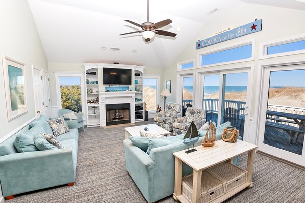 TV, fireplace, books