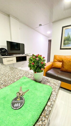 2 chambres, ameublement personnalisé, Wi-Fi gratuit, draps fournis