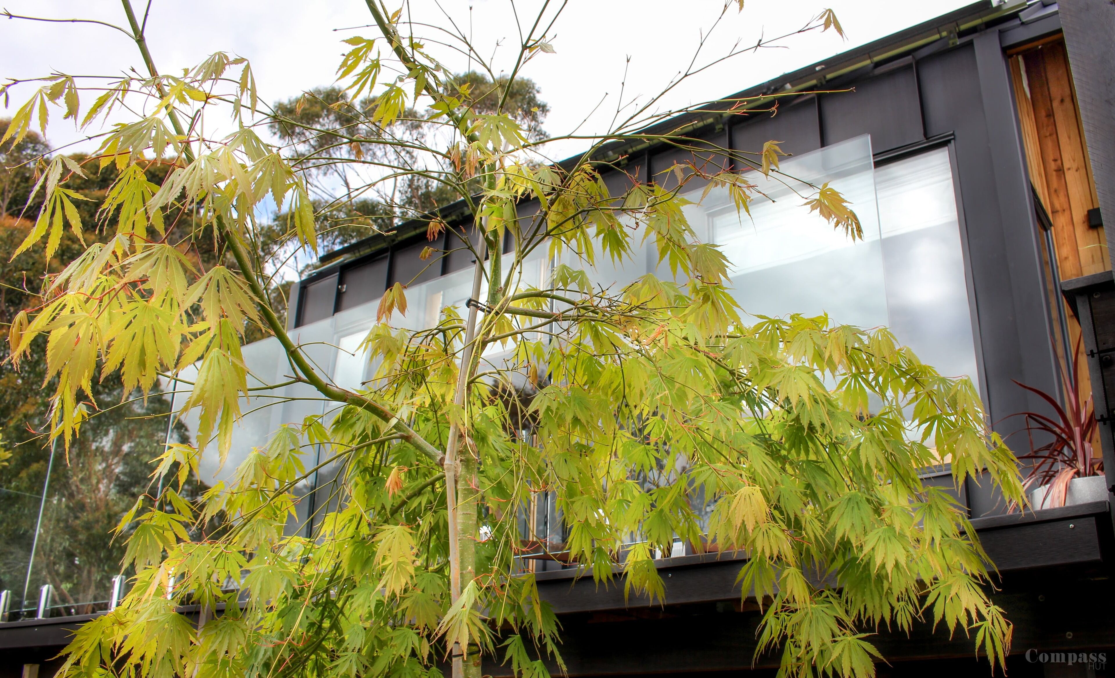 Compass Hut — image 18