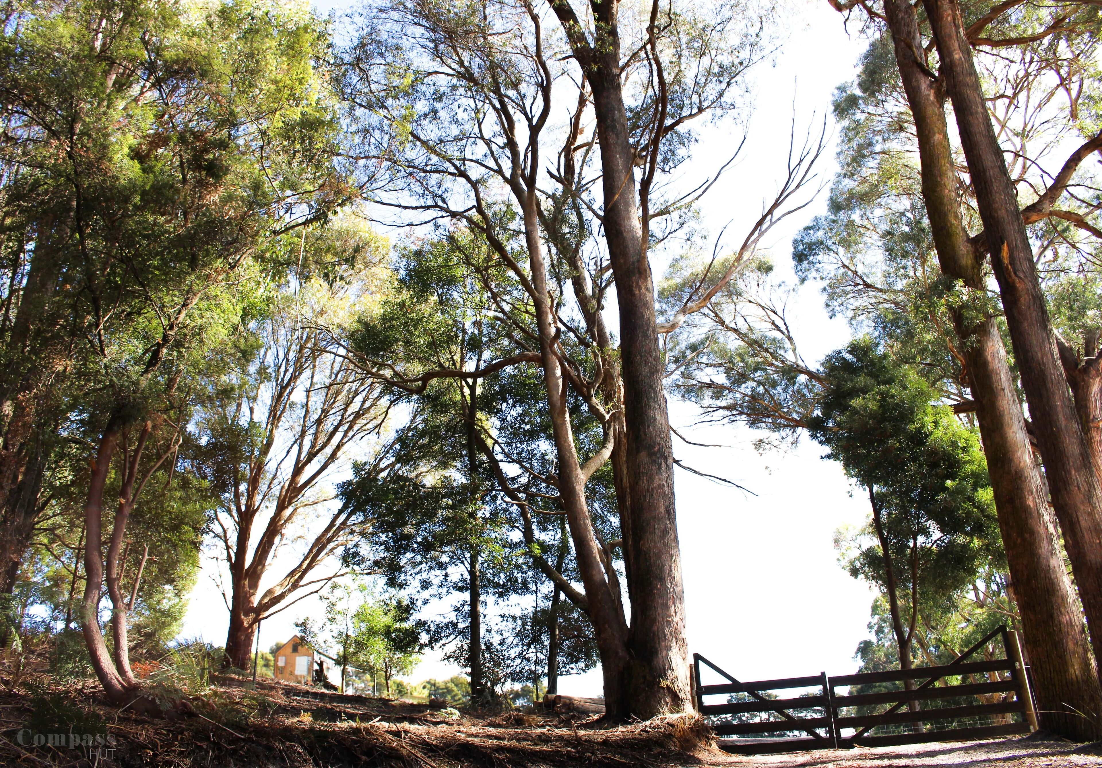 Compass Hut — image 26