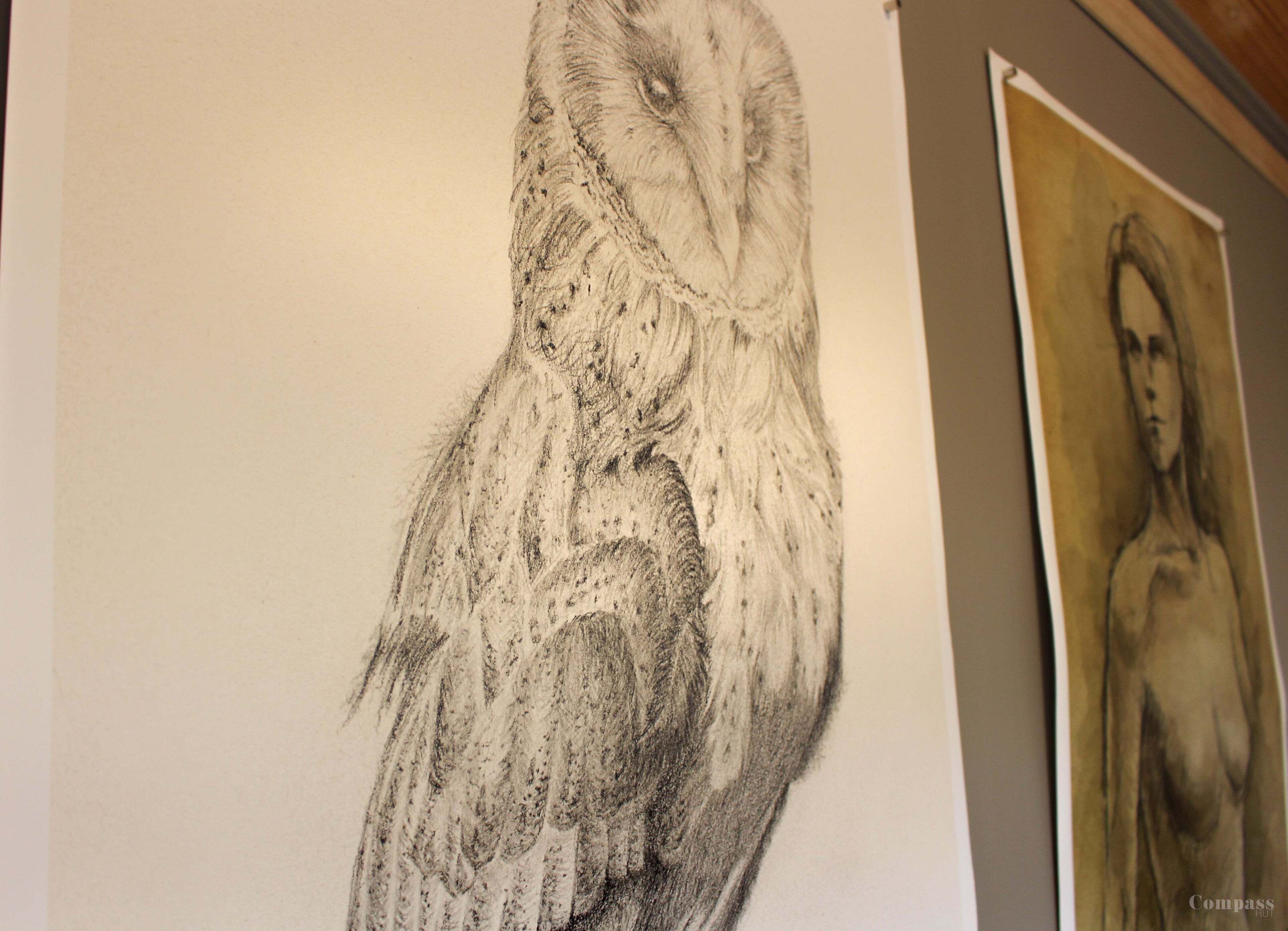 Un dessin détaillé d’une chouette sur un mur.