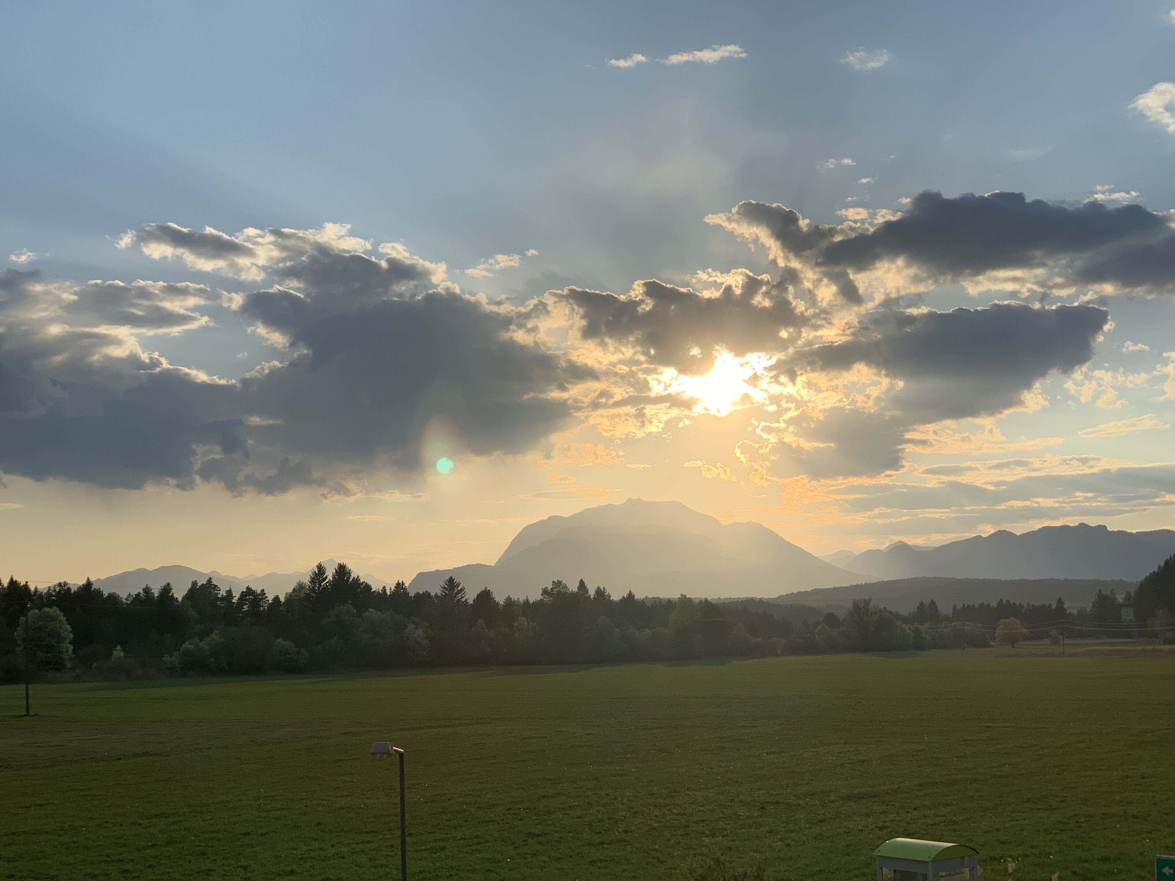 A wide-open field with a clear sky, distant mountains, and a few scattered trees.
