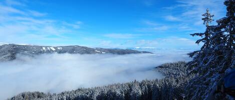 Vista panorámica de un bosque cubierto de nieve, cielo despejado y montañas distantes.