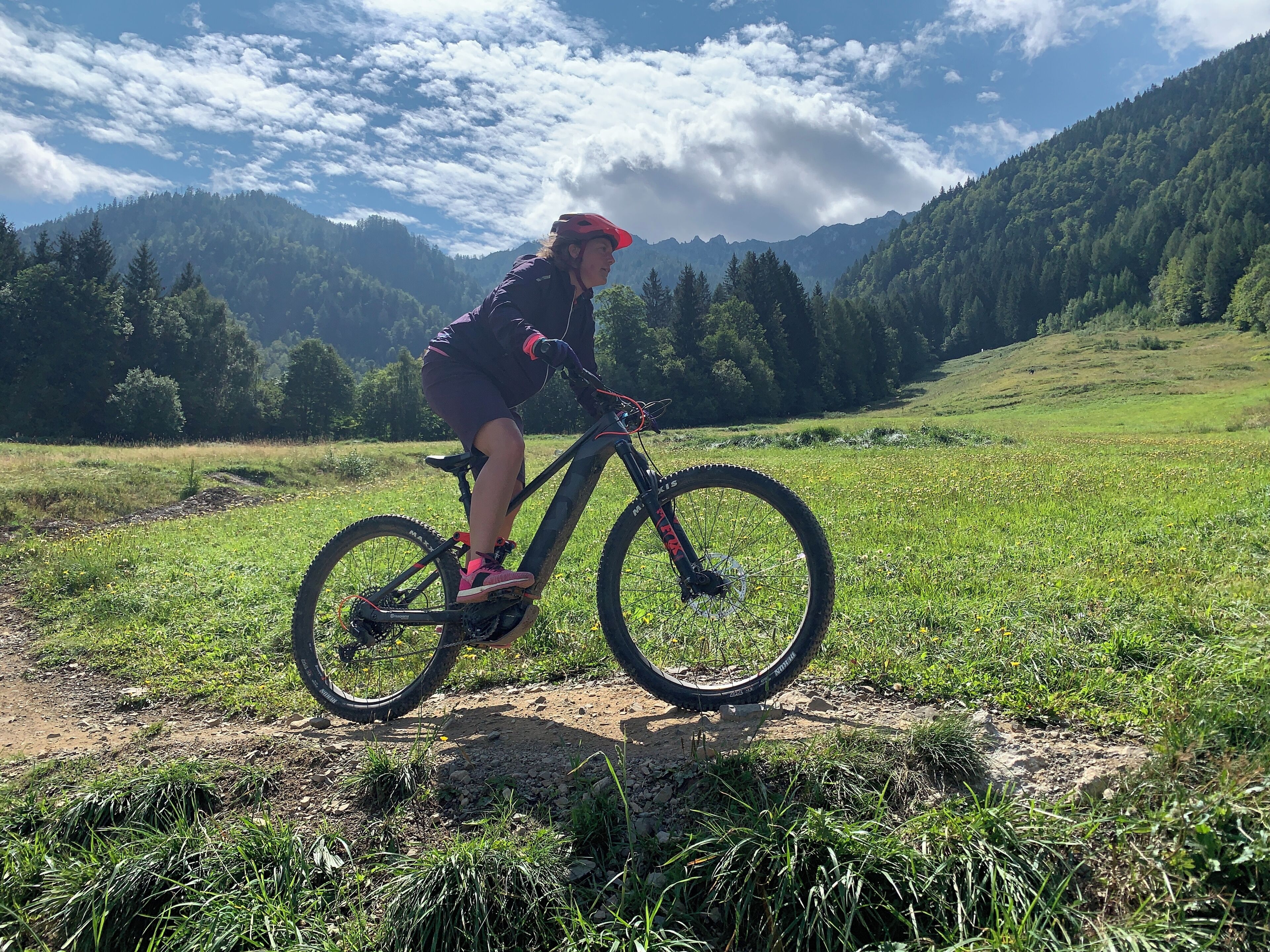 Eine Person fährt mit einem Mountainbike auf einem Feldweg durch eine grüne Wiese, im Hintergrund sind Berge zu sehen.