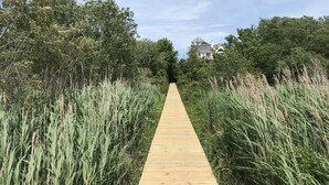 Une promenade en bois traverse une zone naturelle où poussent de hautes herbes et des arbres.
