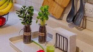 Dining - Stay Frida (Aguascalientes)