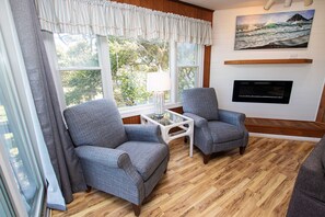 TV, fireplace, DVD player, books