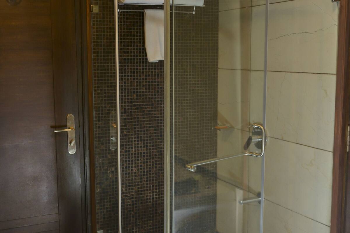 shower, free toiletries, hair dryer, towels